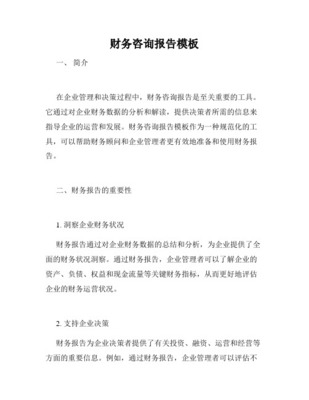 專業(yè)財務(wù)顧問咨詢報告